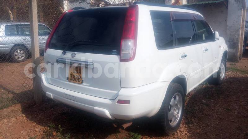 Big with watermark 42750794 114270219545249 6312120857187581952 n