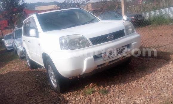 Acheter Occasion Voiture Nissan X–Trail Blanc à Kampala, Ouganda Acheter Occasion Voiture Nissan X–Trail Blanc à Kampala, Ouganda