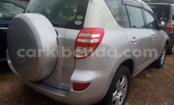 Buy Used Toyota RAV4 Silver Car in Kampala in Uganda Buy Used Toyota RAV4 Silver Car in Kampala in Uganda