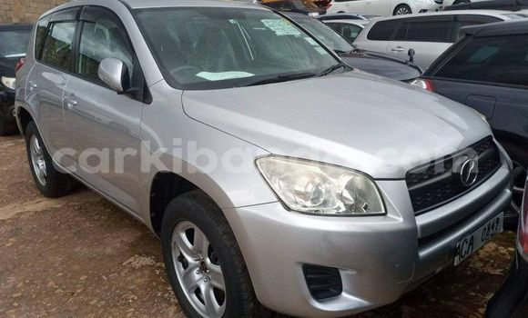 Buy Used Toyota RAV4 Silver Car in Kampala in Uganda Buy Used Toyota RAV4 Silver Car in Kampala in Uganda