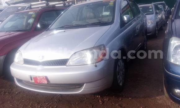 Acheter Occasion Voiture Toyota Platz Gris à Kampala, Ouganda Acheter Occasion Voiture Toyota Platz Gris à Kampala, Ouganda