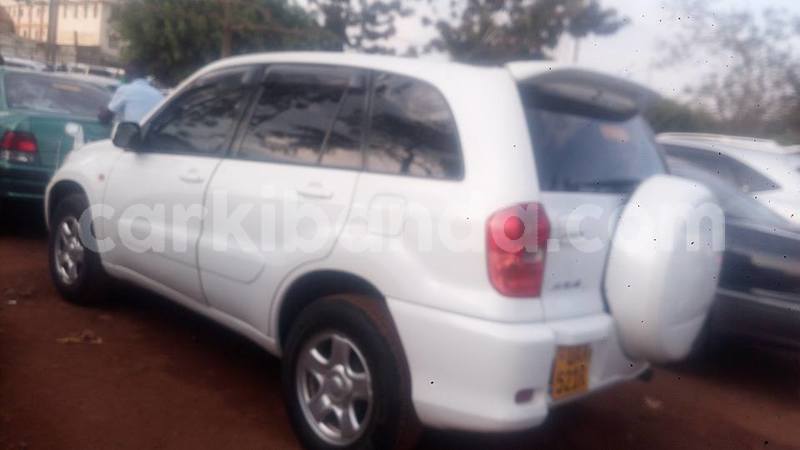 Big with watermark 42806518 114280479544223 4714821325804273664 n