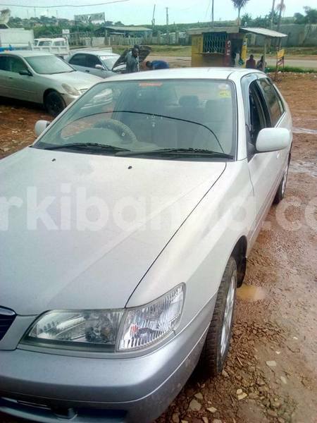 Big with watermark 42812065 2276275682614766 505333834728865792 n