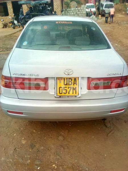 Big with watermark 42723509 2276275609281440 6540551553273561088 n