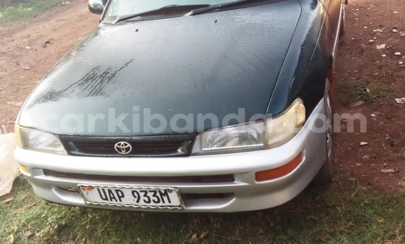 Nunua Ilio tumika Toyota Corolla Kijani Gari ndani ya Kampala nchini Uganda