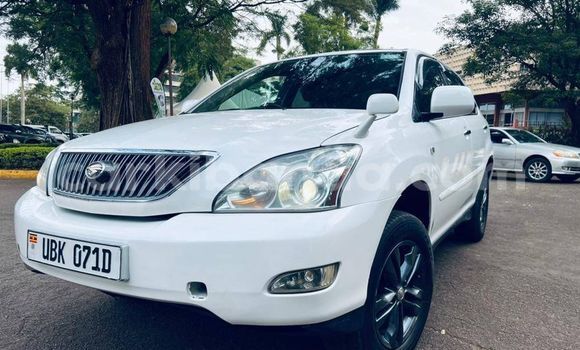 Nunua Ilio tumika Toyota Harrier Nyeupe Gari ndani ya Kampala nchini Uganda Nunua Ilio tumika Toyota Harrier Nyeupe Gari ndani ya Kampala nchini Uganda
