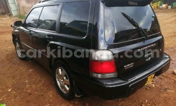 Nunua Ilio tumika Subaru Forester Nyeusi Gari ndani ya Kampala nchini Uganda Nunua Ilio tumika Subaru Forester Nyeusi Gari ndani ya Kampala nchini Uganda
