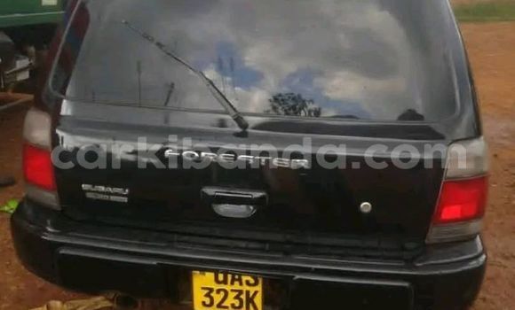 Nunua Ilio tumika Subaru Forester Nyeusi Gari ndani ya Kampala nchini Uganda Nunua Ilio tumika Subaru Forester Nyeusi Gari ndani ya Kampala nchini Uganda