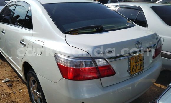 Nunua Ilio tumika Toyota Premio Nyeupe Gari ndani ya Kampala nchini Uganda Nunua Ilio tumika Toyota Premio Nyeupe Gari ndani ya Kampala nchini Uganda