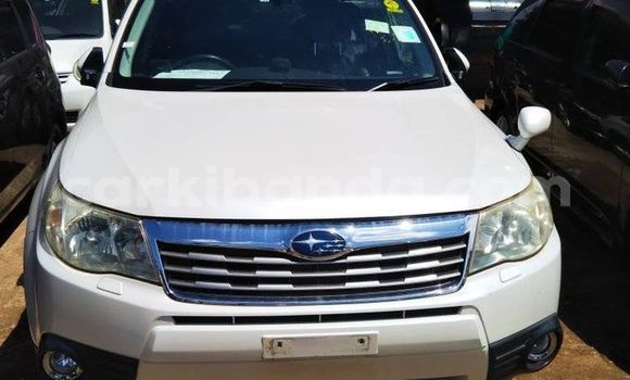 Nunua Ilio tumika Subaru Forester Nyeupe Gari ndani ya Kampala nchini Uganda