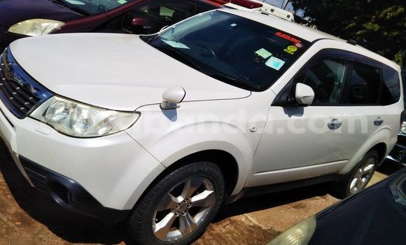 Nunua Ilio tumika Subaru Forester Nyeupe Gari ndani ya Kampala nchini Uganda Nunua Ilio tumika Subaru Forester Nyeupe Gari ndani ya Kampala nchini Uganda