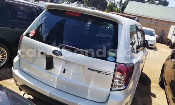 Nunua Ilio tumika Subaru Forester Nyeupe Gari ndani ya Kampala nchini Uganda Nunua Ilio tumika Subaru Forester Nyeupe Gari ndani ya Kampala nchini Uganda