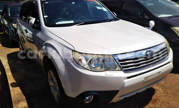 Nunua Ilio tumika Subaru Forester Nyeupe Gari ndani ya Kampala nchini Uganda Nunua Ilio tumika Subaru Forester Nyeupe Gari ndani ya Kampala nchini Uganda