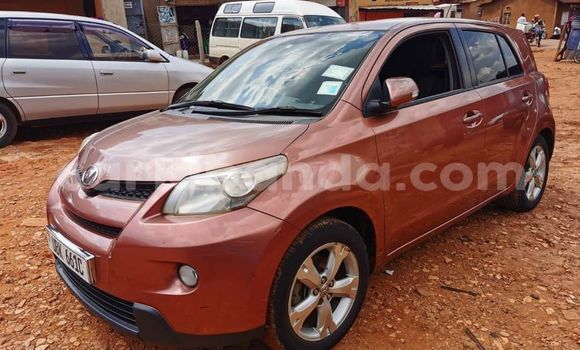 Buy Used Toyota IST Other Car in Kampala in Uganda