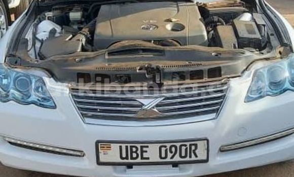 Nunua Ilio tumika Toyota Mark X Nyeupe Gari ndani ya Kampala nchini Uganda Nunua Ilio tumika Toyota Mark X Nyeupe Gari ndani ya Kampala nchini Uganda