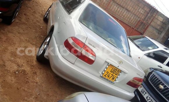 Acheter Occasion Voiture Toyota Corolla Gris à Kampala, Ouganda Acheter Occasion Voiture Toyota Corolla Gris à Kampala, Ouganda