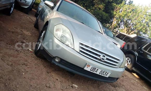 Buy Used Nissan Teana Silver Car in Kampala in Uganda