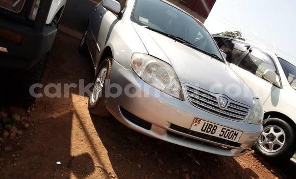 Acheter Occasion Voiture Toyota Allex Gris à Kampala, Ouganda