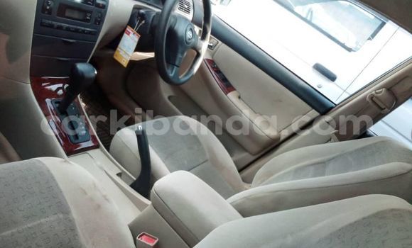 Acheter Occasion Voiture Toyota Allex Gris à Kampala, Ouganda Acheter Occasion Voiture Toyota Allex Gris à Kampala, Ouganda