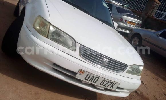 Acheter Occasion Voiture Toyota Corolla Blanc à Kampala, Ouganda