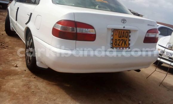 Acheter Occasion Voiture Toyota Corolla Blanc à Kampala, Ouganda Acheter Occasion Voiture Toyota Corolla Blanc à Kampala, Ouganda