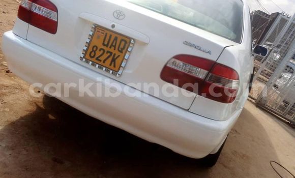 Acheter Occasion Voiture Toyota Corolla Blanc à Kampala, Ouganda Acheter Occasion Voiture Toyota Corolla Blanc à Kampala, Ouganda