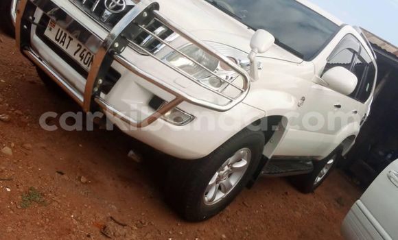 Buy Used Toyota Land Cruiser Prado White Car in Kampala in Uganda