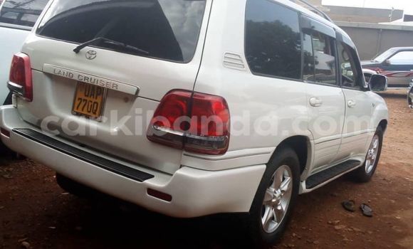 Acheter Occasion Voiture Toyota Land Cruiser Blanc à Kampala, Ouganda Acheter Occasion Voiture Toyota Land Cruiser Blanc à Kampala, Ouganda