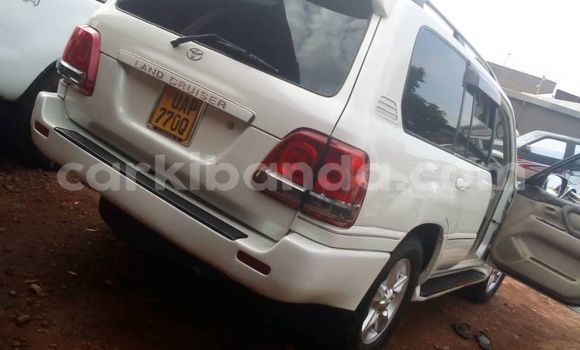 Acheter Occasion Voiture Toyota Land Cruiser Blanc à Kampala, Ouganda Acheter Occasion Voiture Toyota Land Cruiser Blanc à Kampala, Ouganda