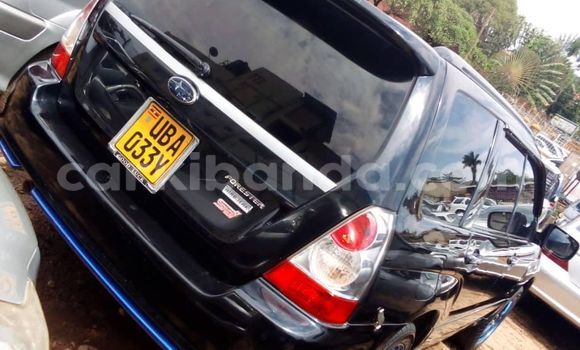 Acheter Occasion Voiture Subaru Forester Noir à Kampala, Ouganda Acheter Occasion Voiture Subaru Forester Noir à Kampala, Ouganda