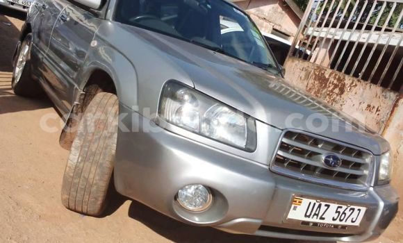 Acheter Occasion Voiture Subaru Forester Gris à Kampala, Ouganda Acheter Occasion Voiture Subaru Forester Gris à Kampala, Ouganda