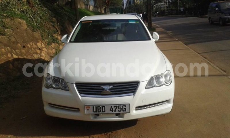 Big with watermark 30629329 194112211393369 244064733525704704 n