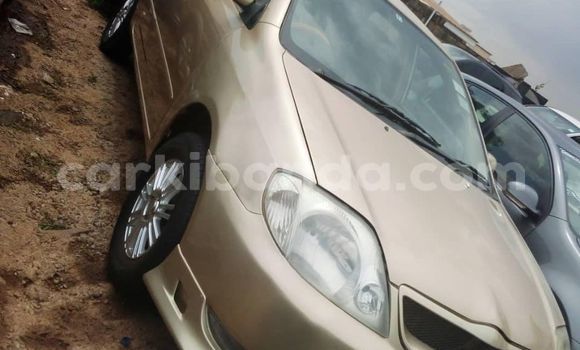 Acheter Occasion Voiture Toyota Allex Marron à Kampala, Ouganda Acheter Occasion Voiture Toyota Allex Marron à Kampala, Ouganda