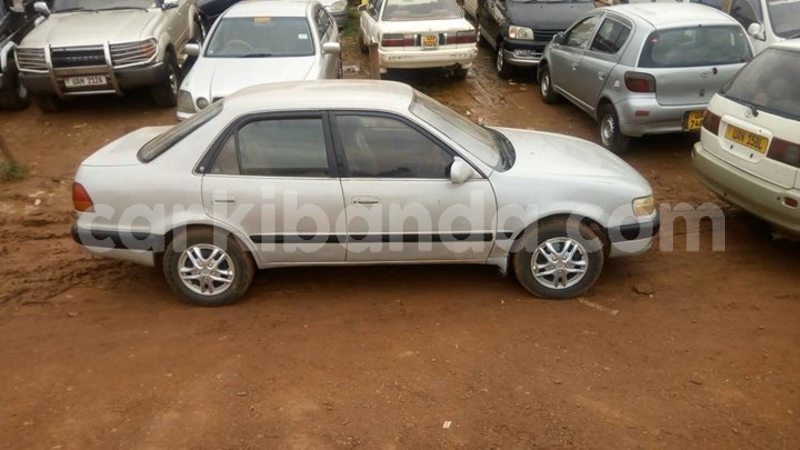 Big with watermark 30629329 194112211393369 244064733525704704 n