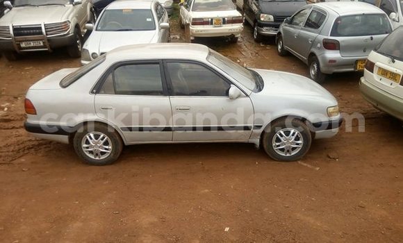Buy Used Toyota Corolla Silver Car in Kampala in Uganda Buy Used Toyota Corolla Silver Car in Kampala in Uganda