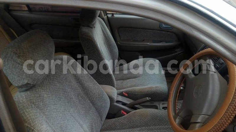 Big with watermark 30705011 1080215435450894 1812932972978896896 n