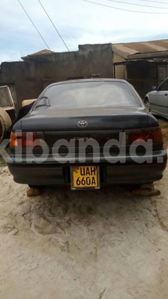 Big with watermark 30623955 578122035882356 6857030771144654848 n