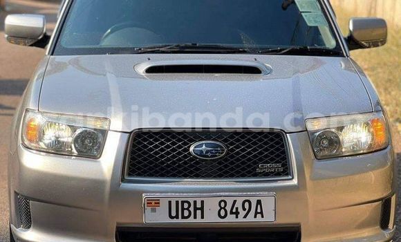 Buy Used Subaru Forester Silver Car in Kampala in Uganda Buy Used Subaru Forester Silver Car in Kampala in Uganda