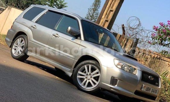 Buy Used Subaru Forester Silver Car in Kampala in Uganda Buy Used Subaru Forester Silver Car in Kampala in Uganda