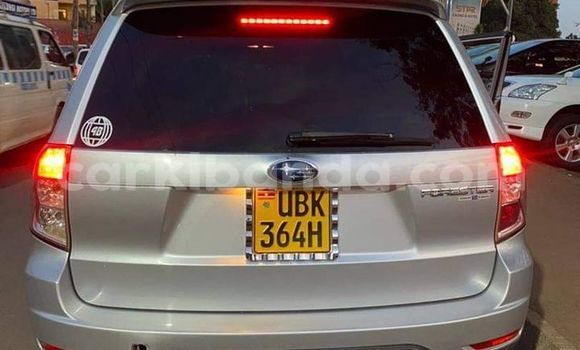 Buy Used Subaru Forester Silver Car in Kampala in Uganda Buy Used Subaru Forester Silver Car in Kampala in Uganda