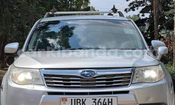 Buy Used Subaru Forester Silver Car in Kampala in Uganda Buy Used Subaru Forester Silver Car in Kampala in Uganda