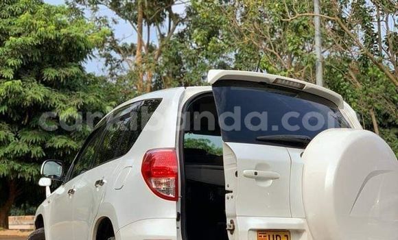 Buy Used Toyota RAV4 White Car in Kampala in Uganda Buy Used Toyota RAV4 White Car in Kampala in Uganda