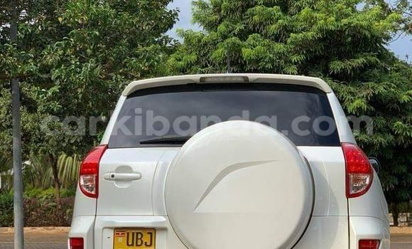 Buy Used Toyota RAV4 White Car in Kampala in Uganda Buy Used Toyota RAV4 White Car in Kampala in Uganda
