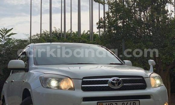 Buy Used Toyota RAV4 White Car in Kampala in Uganda Buy Used Toyota RAV4 White Car in Kampala in Uganda