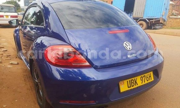 Buy Used Volkswagen Beetle Blue Car in Kampala in Uganda Buy Used Volkswagen Beetle Blue Car in Kampala in Uganda