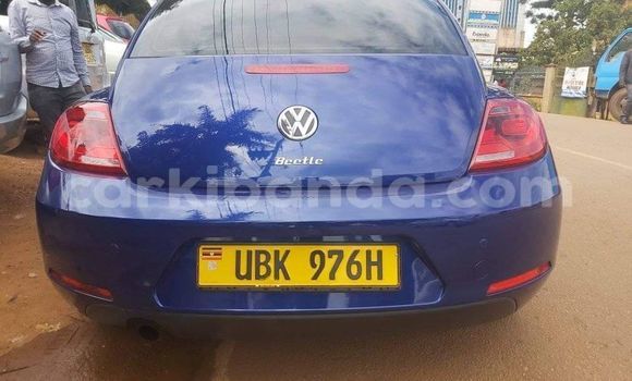 Buy Used Volkswagen Beetle Blue Car in Kampala in Uganda Buy Used Volkswagen Beetle Blue Car in Kampala in Uganda