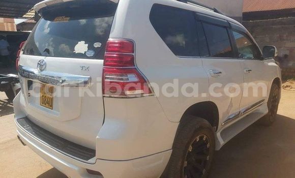 Buy Used Toyota Land Cruiser White Car in Kampala in Uganda Buy Used Toyota Land Cruiser White Car in Kampala in Uganda