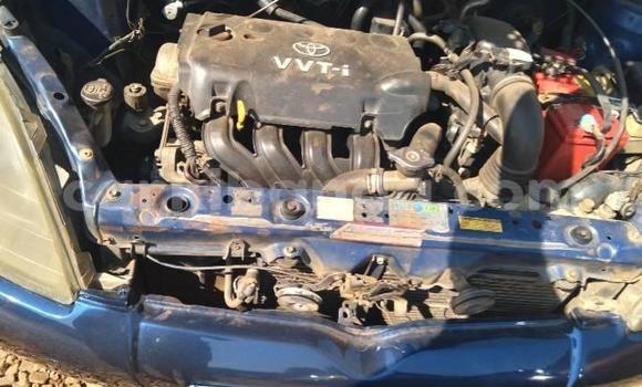 Acheter Occasion Voiture Toyota Vitz Bleu à Kampala, Ouganda Acheter Occasion Voiture Toyota Vitz Bleu à Kampala, Ouganda