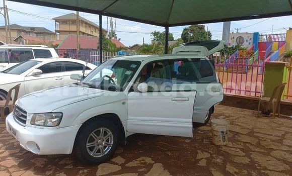 Nunua Ilio tumika Subaru Forester Nyeupe Gari ndani ya Kampala nchini Uganda