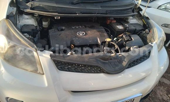Acheter Occasion Voiture Toyota IST Blanc à Kampala, Ouganda Acheter Occasion Voiture Toyota IST Blanc à Kampala, Ouganda